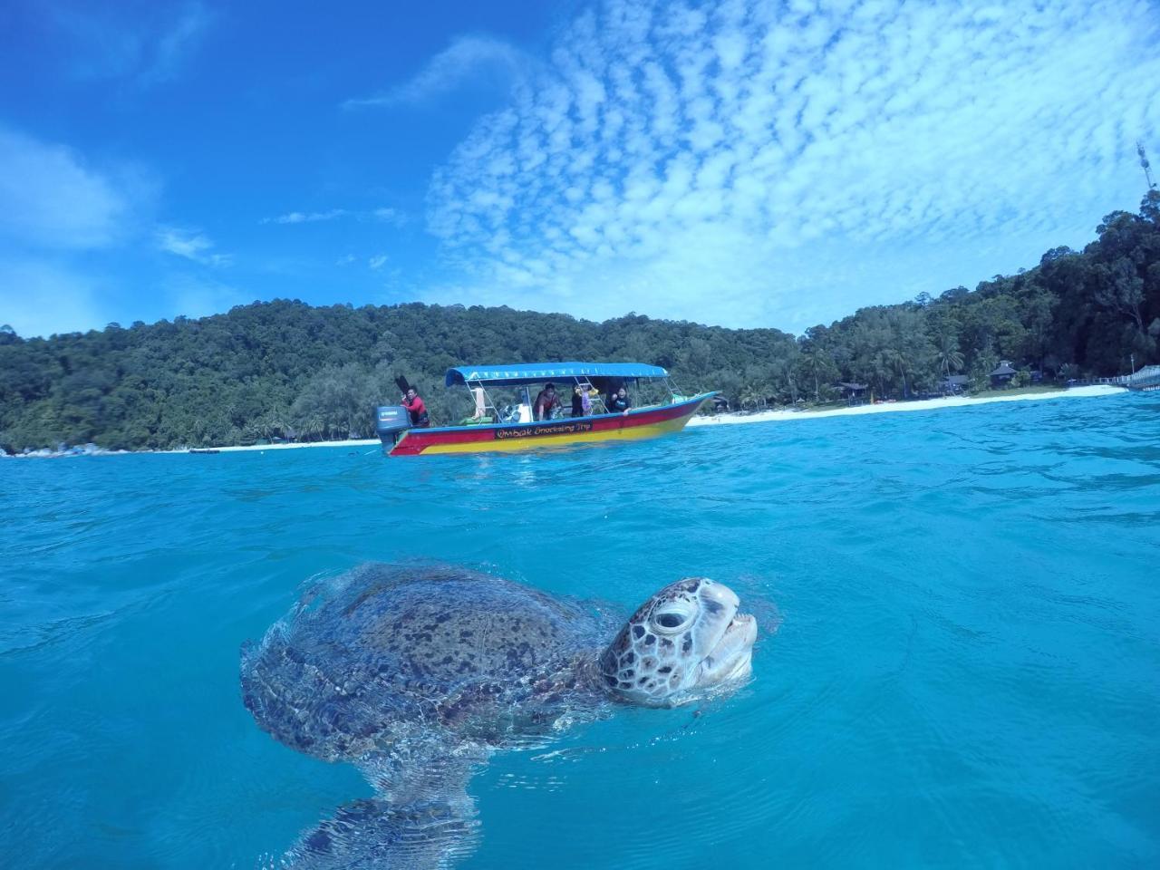 Ombak Dive Resort Perhentian Island Pulau Perhentian Kecil Exterior foto